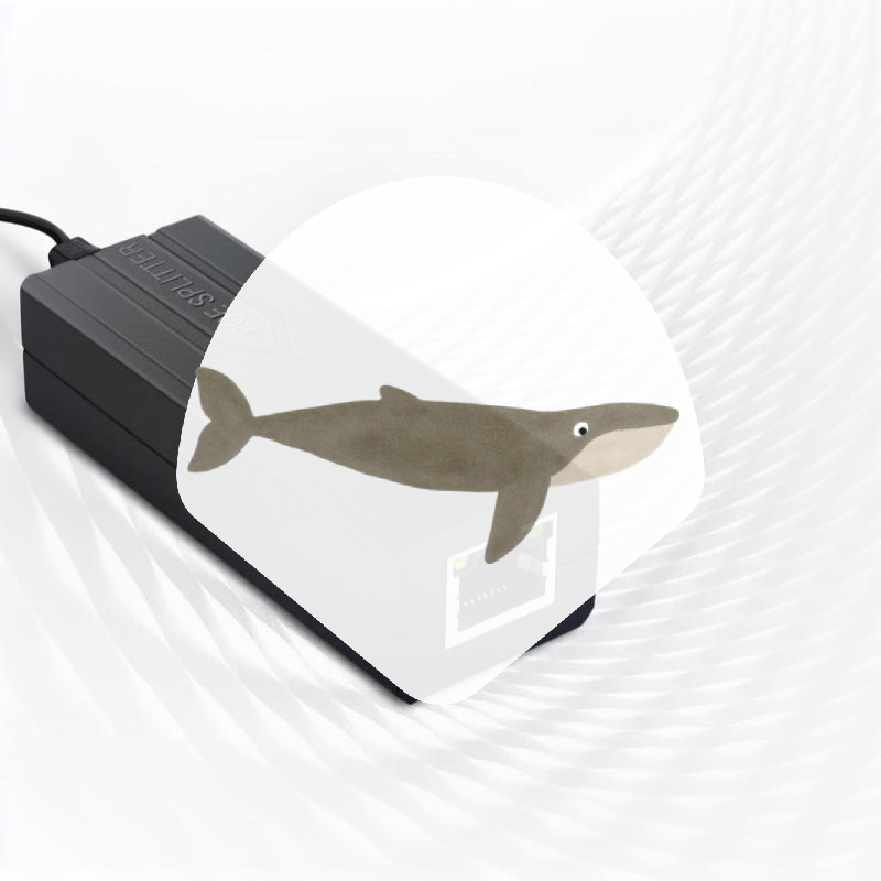 POE-сплиттер 48В в 12В, выход  – обзор и цена Power Over Ethernet